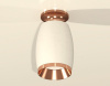 Накладной светильник Ambrella Light XS XS1122045