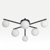 Потолочная люстра Citilux Glob CL209261