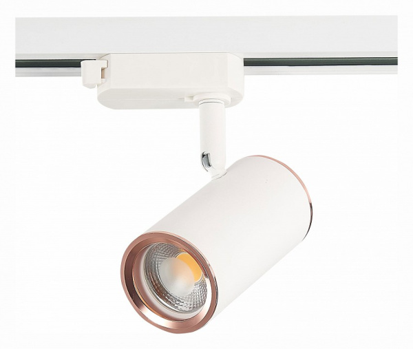 Светильник на штанге ST-Luce Cromi ST301.526.01