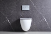 Подвесной унитаз BelBagno Amanda BB051CHR