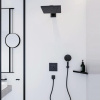 Душевая лейка hansgrohe Raindance Select S 26530670 матовый черный
