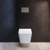 Клавиша смыва Ideal Standard OLEAS™ M1 R0115AA