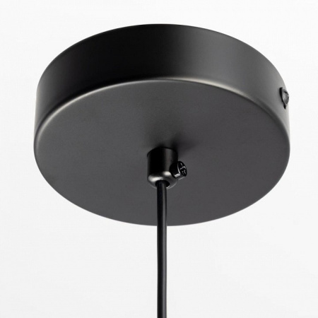 Подвесной светильник Citilux ORTON CL202021