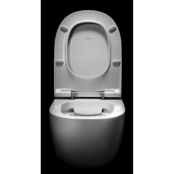 Унитаз подвесной Pestan Fluenta 40006661B безободковый, белый