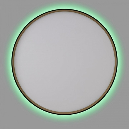 Накладной светильник Citilux ETALON CL750501R