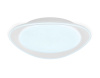 Накладной светильник Ambrella Light FF FF44