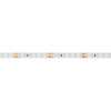 Лента светодиодная Arlight RTW-SE 016510(3)