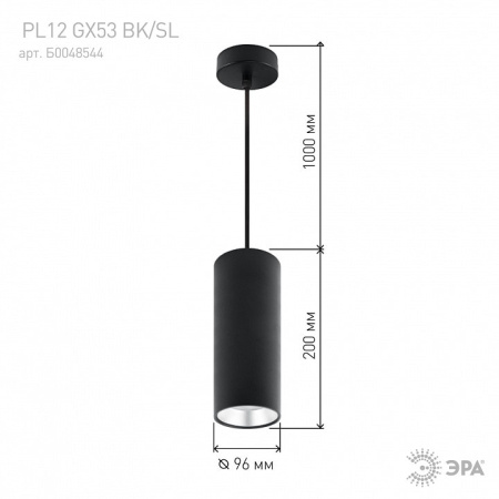Подвесной светильник Эра PL12 GX53 BK/SL