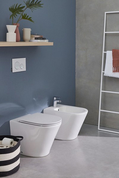 Напольное биде Jacob Delafon Rodin+ EBJ0002-00