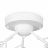 Потолочная люстра Freya Флоренсия FR5049CL-27W2