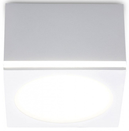 Накладной светильник Ambrella Light TN TN266