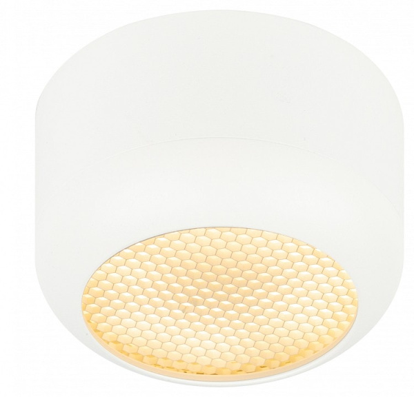 Накладной светильник Эра OL56 WH