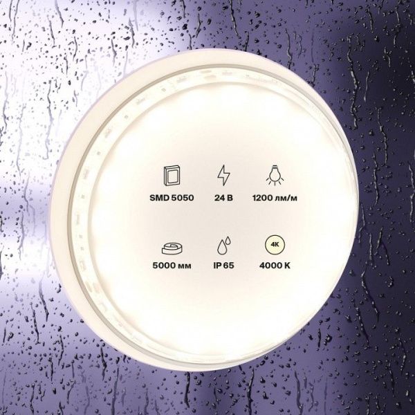 Лента светодиодная Maytoni Led Strip Светодиодная лента 24В 10172