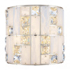 Накладной светильник Odeon Light Crossa 5072/28WL