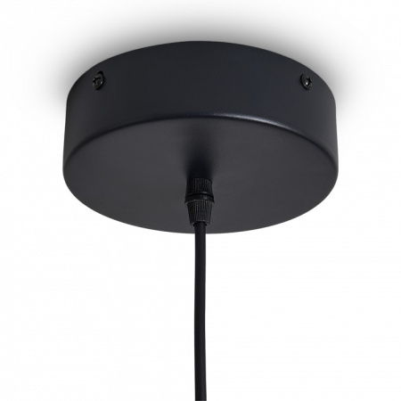 Подвесной светильник Freya ИСТИНА FR6181PL-L9B