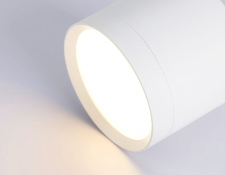 Накладной светильник Ambrella Light TN TN5350