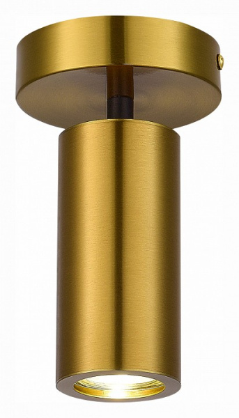 Светильник на штанге ST-Luce Talia SL1215.402.01