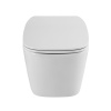 Подвесной унитаз BelBagno ALBANO BB120CHR