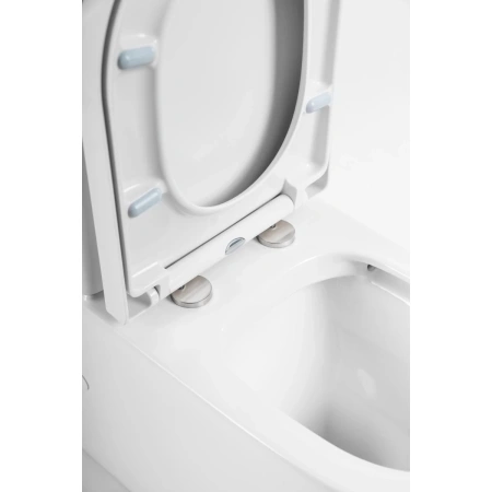 Чаша напольного безободкового унитаза BelBagno Flay-R BB007CPR