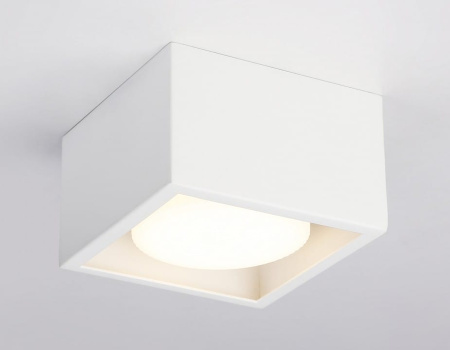 Накладной светильник Ambrella Light TN TN70825