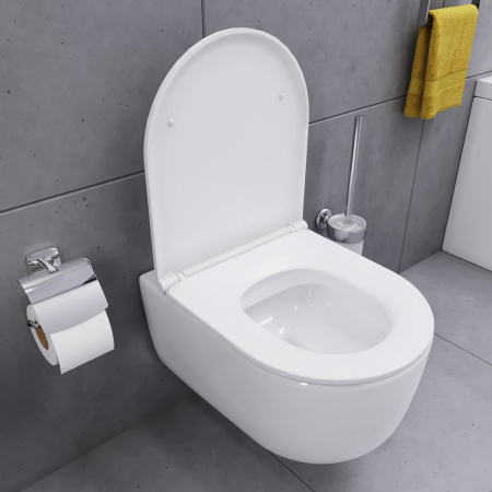 Подвесной унитаз Damixa Sirius DX86C1700SC с сиденьем микролифт
