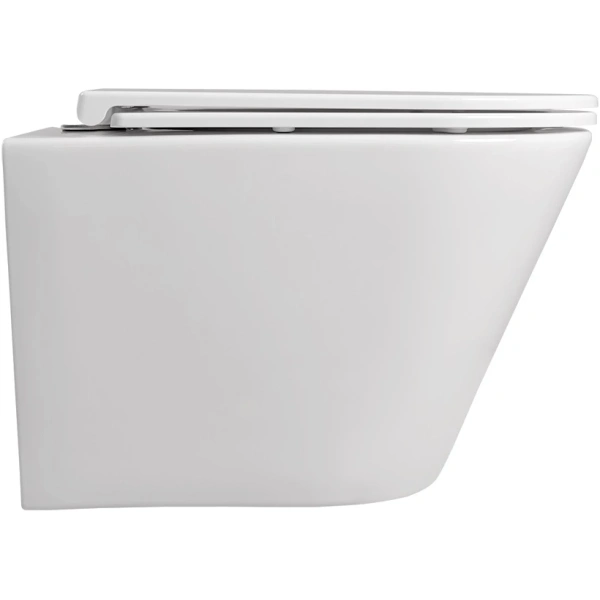 Унитаз подвесной Terminus Классик 02W54x36W безободковый, торнадо, с сиденьем микролифт, белый
