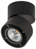 Накладной светильник Lightstar Forte Muro 214817