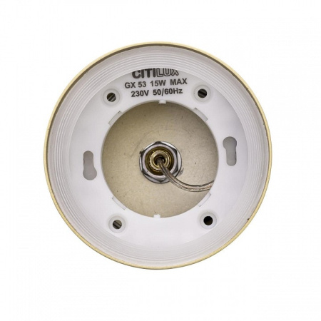 Подвесной светильник Citilux Hardy CL002P12