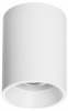 Накладной светильник Lightstar Rullo 213436