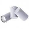 Спот Arte Lamp Gavroche A1511PL-2GY