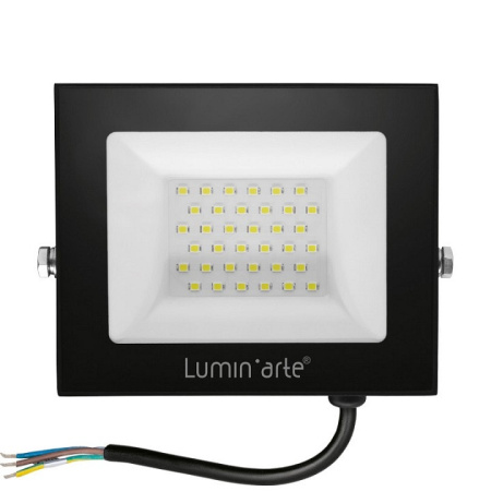 Настенно-потолочный прожектор Luminarte LFL-50W LFL-50W/06