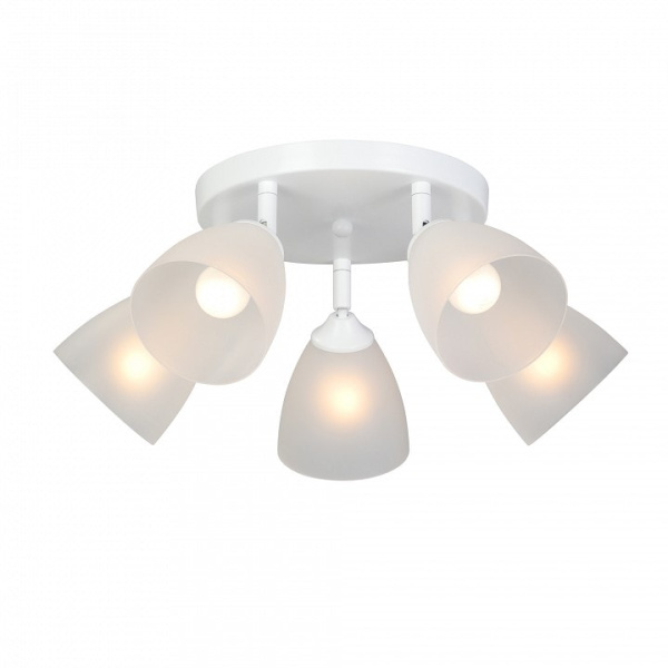 Потолочная люстра Vitaluce V4355 V4355-0/5PL