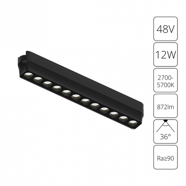 Накладной светильник Arte Lamp Rapid A2954PL-1BK