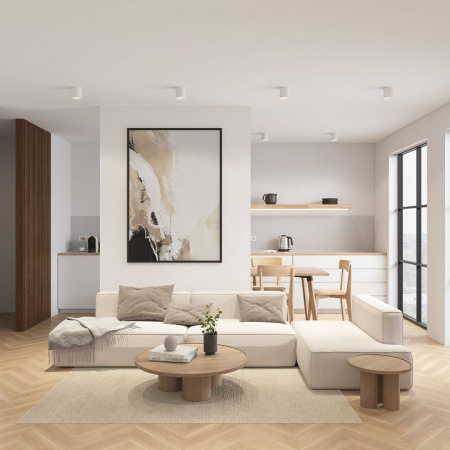 Накладной светильник Denkirs DK3040 DK3090-WH