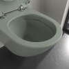 Подвесной унитаз Villeroy&Boch Antao 4674T0R8 утренний зеленый