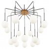 Потолочная люстра Maytoni Branch MOD176PL-16G