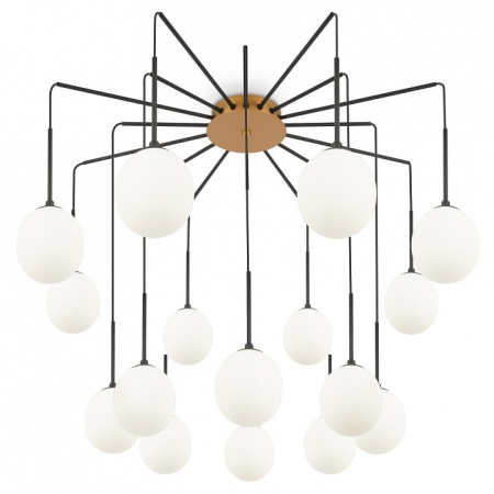 Потолочная люстра Maytoni Branch MOD176PL-16G
