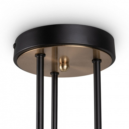 Потолочная люстра Freya Bogy FR5377CL-06B