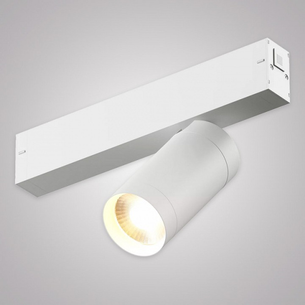 Светильник на штанге AM-Group SMART CYLINDER AM526 WH-220V-10W SMART