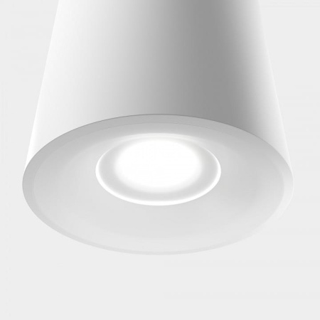 Накладной светильник LIGHTERA Shamrock LE200CL-1W