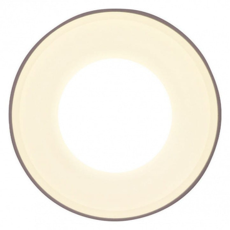 Накладной светильник Ambrella Light TN TN3202