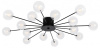 Потолочная люстра Freya Celebrity FR5242CL-16B1