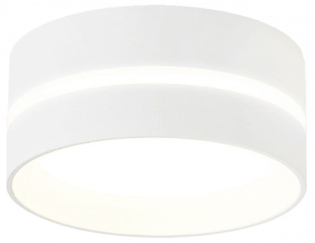 Накладной светильник Ambrella Light TN TN5388