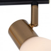 Спот Arte Lamp Falena A3117PL-2BK