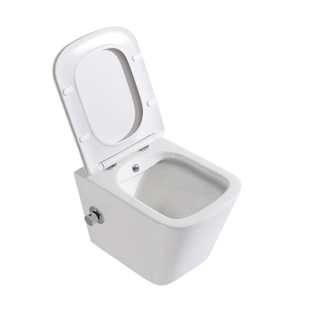 Унитаз подвесной BelBagno Due BB3103CHR-BS/SC