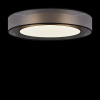 Накладной светильник Freya Зотикус FR6005CL-L48G