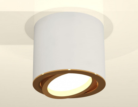 Накладной светильник Ambrella Light XS XS7401004
