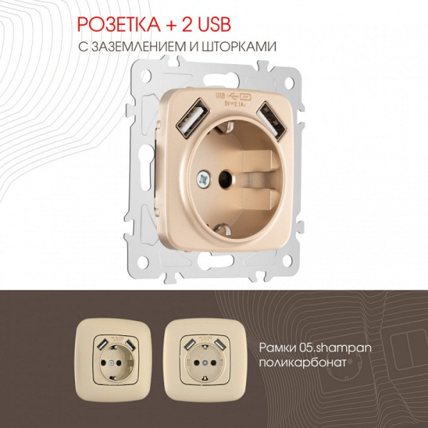 Розетка с заземлением и со шторкой и 2хUSB без рамки Arte Milano am-205 205.47-1.shampan