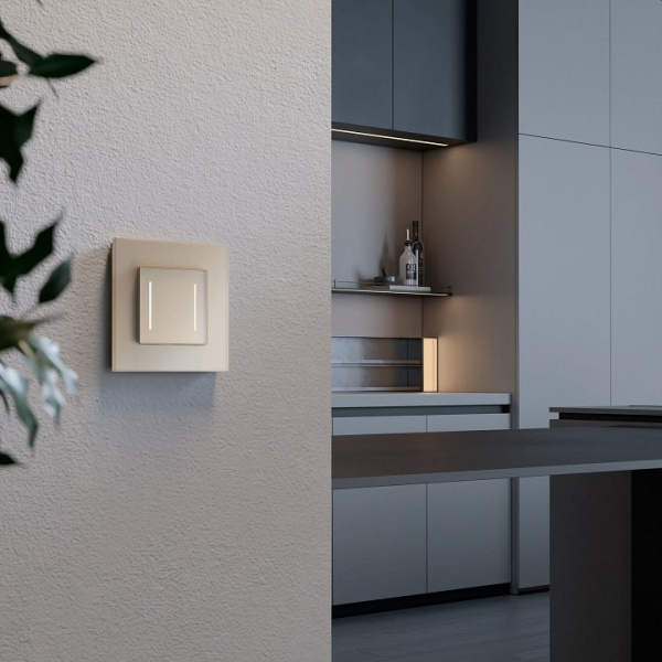 Выключатель сенсорый двухклавишный с подсветкой и функцией Wi-Fi без рамки Werkel шампань W4523011