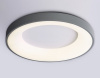 Накладной светильник Ambrella Light FZ FZ1402
